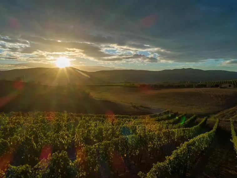 Agriturismo Fusini Magliano in Toscana