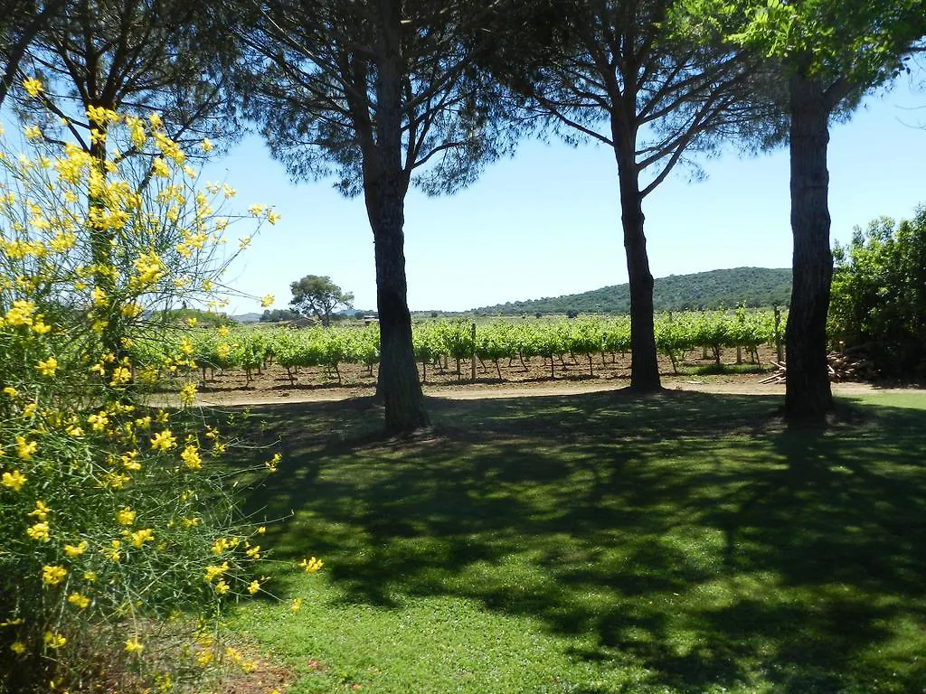 Agriturismo Fusini Magliano in Toscana Alloggio per agriturismo