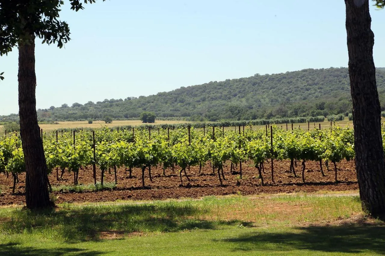 Agriturismo Fusini Magliano in Toscana